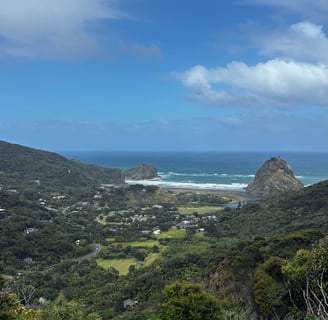 beautiful piha!