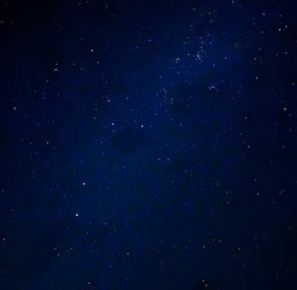 the starry sky at bledisloe!
