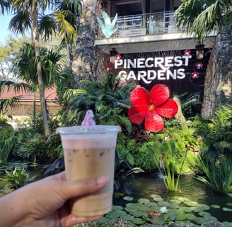 Our special Valentine’s Day creation: a White Mocha Latte topped with Strawberry Cold Foam.