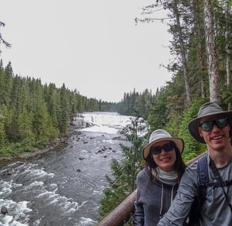 Dawson Falls