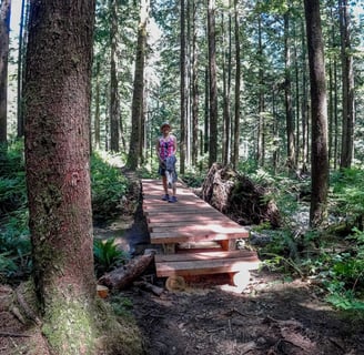 Wood platforms on the trail