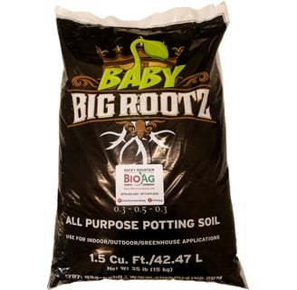 Bag of Baby Big Roots