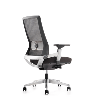 Black mesh ergonomic office chair with polished base, adjustable armrests and lumbar