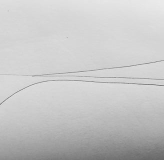 Lines of people walking and listening as a line