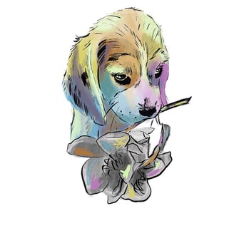 pastel multi-colored puppy holding a flower