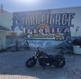a motorcycle parked in front of a mural of a mural of a florida flag