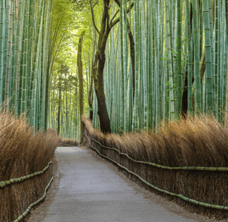 Der Weg
