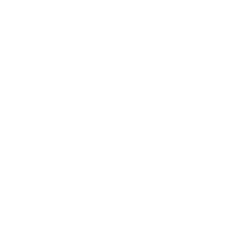Outline of a paw print with a shape of waves on the big paw pad to reflect the name Seaside Paws