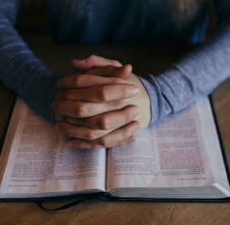 Man studying the Bible