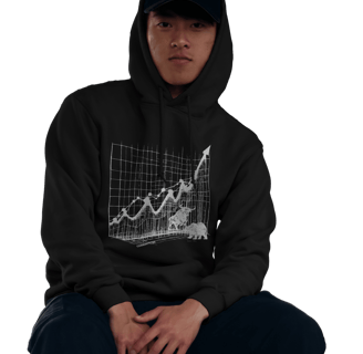 bull and bearmarket hoodie and pychology of money blog