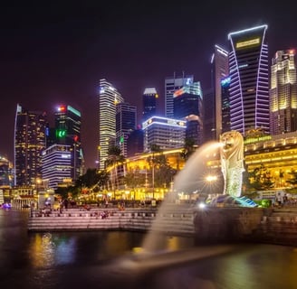 Wellness Essentials Singapore Collection