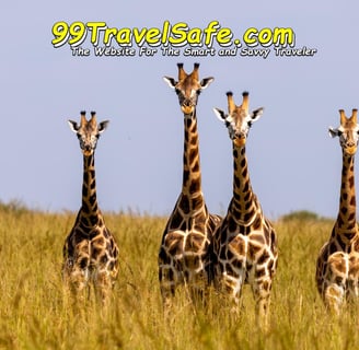 Travel Safety Tips from 99TravelSafe.com - The Website for The Smart and Savvy Traveler!