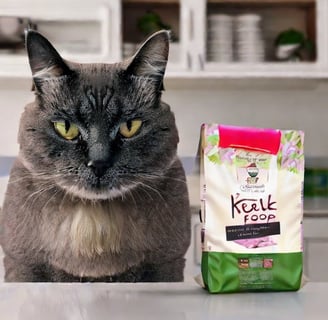 The Rise of Online Shopping for Pet Supplies
