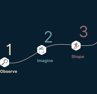 the three steps of the individual coaching program, observe, imagine, shape
