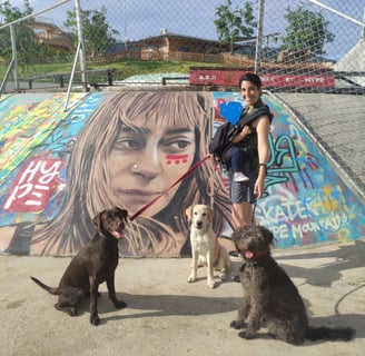 Haciendo un pet sit en Phuket. En la foto salimos con Mily, Boo-Boo y Yogi en Blue Tree
