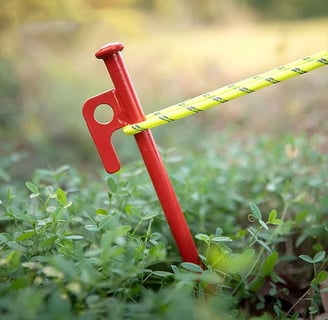 ground stake