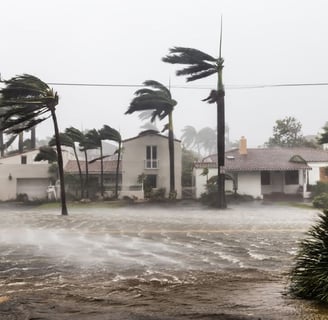 strong wind