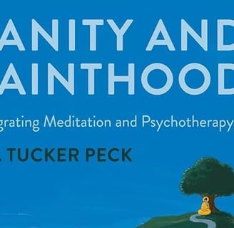 Cover of Sanity & Sainthood by Tucker Peek - a book on meditation and psychotherapy