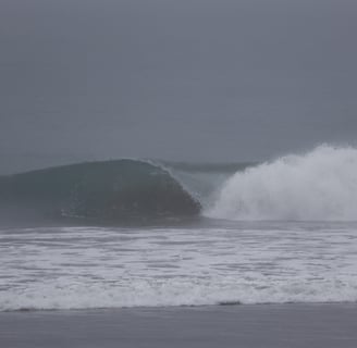 perfect pick on a cloudy and blurry day