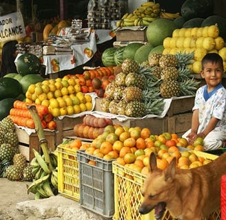 Fruits from Ecuador witha kid smiling to the camera