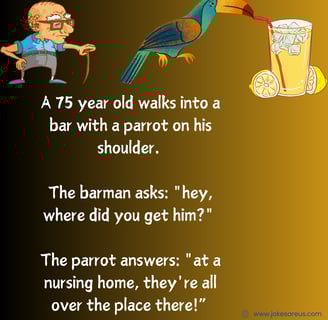 75 year old with a parrot on his shoulder walks into a bar