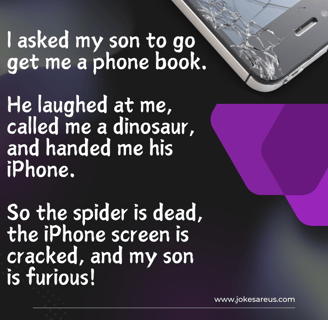 Asked my son to get me a phone book. He handed me his iPhone. Spider is dead, iPhone is cracked