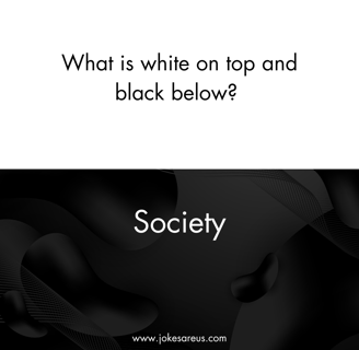 What is white on top and black below? Society. dark Joke