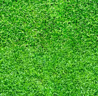 Seass grass texture pbr albedo grass texture