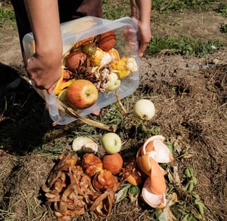a person holding a plastic container filled with food