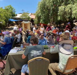 Tables outside with potluck attendees enjoying lunch