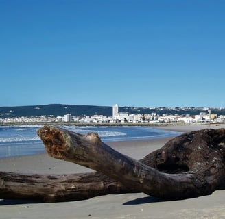Front de mer à Figueira da Foz Portugal