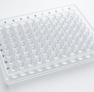 a cell culture plate
