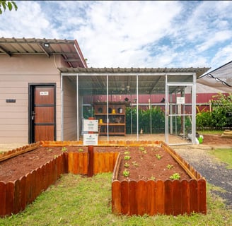 Raised farming beds for gardening and harvesting at Casa Candali farmstay