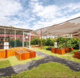 Raised farming beds for gardening and harvesting at Casa Candali farmstay.