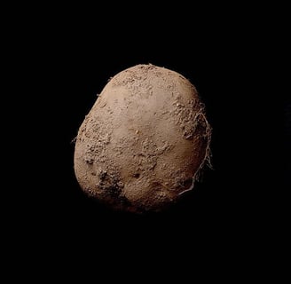 The million dollar potato