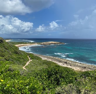 Vue aérienne de la Pointe des Châteaux et de la plage des Salines en Guadeloupe, symbole de préservation et durabilité.