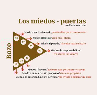 Miedos del bazo, autoridad esplénica diseño humano