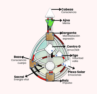 Los 9 centros de diseño humano