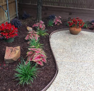 a flower bed with various colorful flowers 