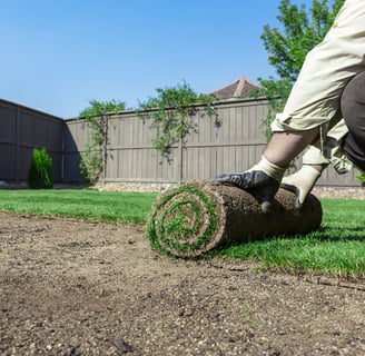 a man is putting a roll of grass in the yard