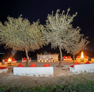 Sitting area around the fire pit