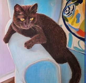 a black cat sitting on a blue chair