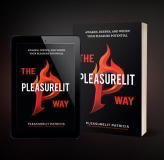 The Pleasurelit Way book cover