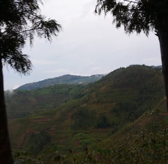 a mountain scene with a view of a valley