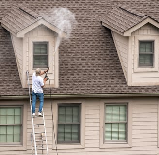 Home Seller preparing the home for sale