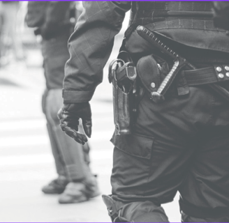 Cartuchos Law Enforcement