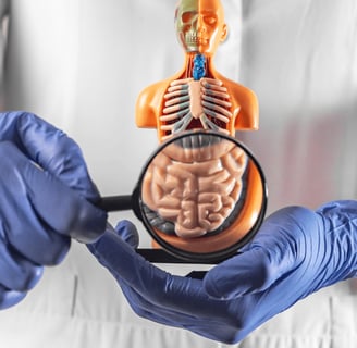 Olhando de perto a saude intestinal