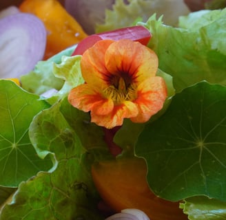 a salad with nasiumium flowers and onions