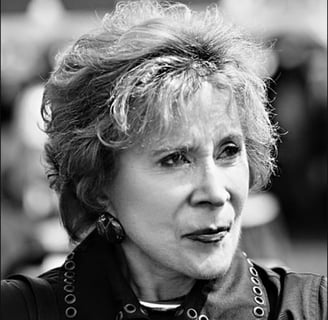 susan allen ibeji collector collectionneuse