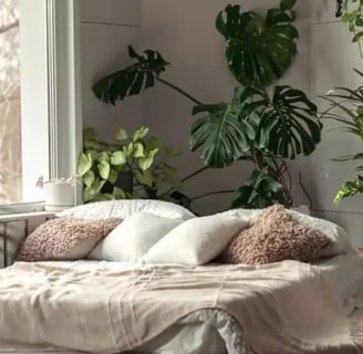 include-essential-elements-for-a-calming-environment